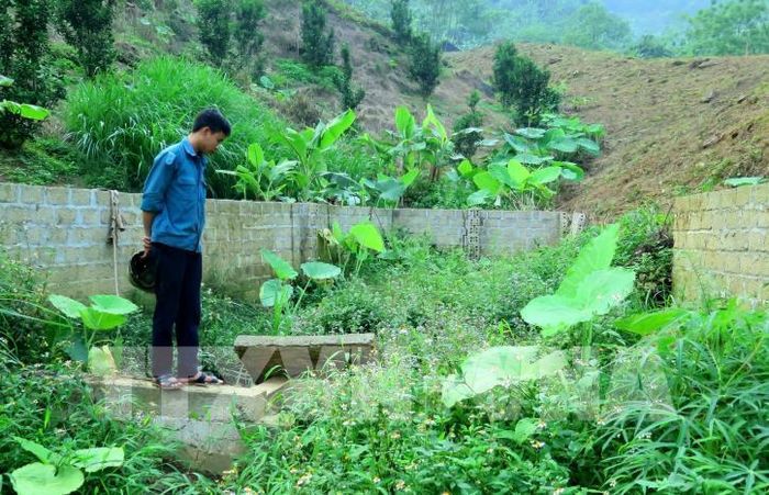 Công trình cấp nước sinh hoạt tập trung thôn 10 Minh Tiến sau khi sử dụng hơn 1 tháng đã ngừng hoạt động. Ảnh: Văn Tý-TTXVN