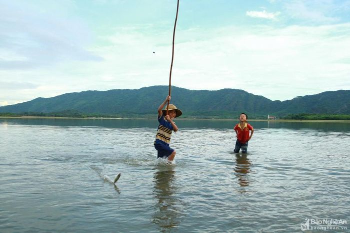 "Chiến lợi phẩm" nhỏ từ dòng sông xanh. Ảnh: Nguyễn Đạo