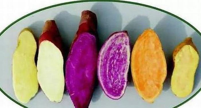  Ăn khoai lang buổi tối dễ trào ngược axit, đặc biệt là những người dạ dày yếu hoặc người già tiêu hóa kém, vì sẽ gây ra hiện tượng đầy bụng, cộng với việc ban đêm sự trao đổi chất thấp nên càng khó tiêu hóa dễ dẫn đến mất ngủ. Ảnh minh họa: Internet