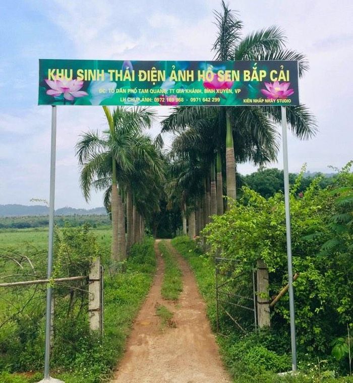 Khu sinh thái Hồ Sen Bắp Cải