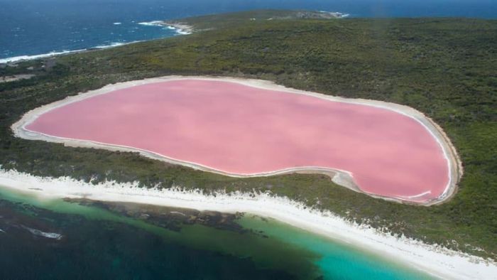  Hồ Hillier ở Australia được gọi là “Hồ màu hồng” vì nước trong hồ có màu hồng nhạt, tương phản với màu xanh của đại dương gần đó. Màu sắc của nó được giải thích là do một loài tảo có tên là Dunaliella salina, tạo ra sắc tố biến nước mặn thành màu sắc như vậy.