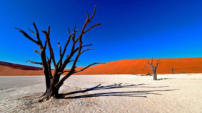  Deadvlei (đầm lầy chết) ở Namibia được bao quanh bởi một số những đụn cát cao nhất thế giới, trung bình từ 350 - 400m. Khí hậu vô cùng khắc nghiệt đã thiêu đốt tất cả các thảm thực vật ở nơi này. Những loài cây chết khô không thể phân hủy đã tạo những họa tiết kỳ lạ trên mặt đất rất lạ mắt.
