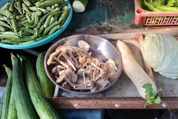 Theo y học, nấm mối có giá trị dinh dưỡng rất cao, có khả năng phòng ngừa ung thư hoặc chống lão hóa…Vì vậy, một một số nơi còn ví gọi nó là "nấm vua". Ảnh: Dân Việt.