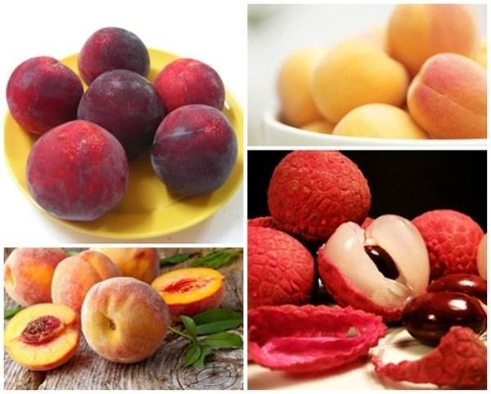 Các loại hoa quả mùa hè.