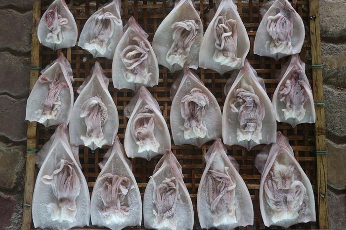 Hải sản Cửa Lò vốn ngon, nhưng để phơi khô giữ được hương vị lại cần bí quyết riêng.