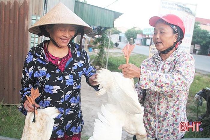 Chị Nguyễn Thị Lan – một người bán vịt tại chợ Thạch Lưu (Thạch Hà) cho biết: “Sáng nay, tôi chở gần 80 con vịt đến chợ thì chỉ trong vòng hơn 1 tiếng đã bán gần hết. Nhìn chung, giá mặt hàng này không tăng quá nhiều so với ngày thường. Vịt còn sống dao động từ 70 – 80 ngàn đồng/con, vịt làm sẵn ở mức khoảng 90 - 100 ngàn đồng/con".