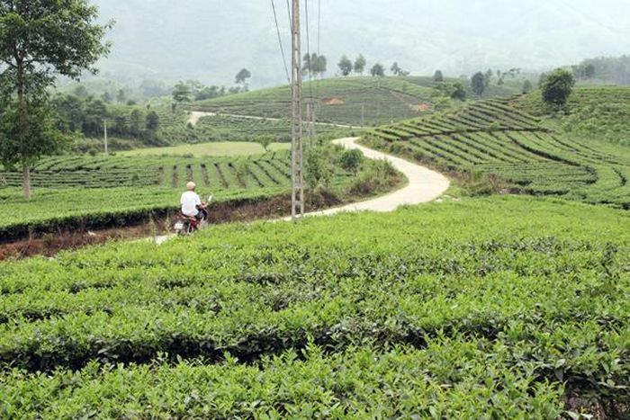 Đường giao thông nông thôn xã Phú Nhuận được kiên cố hóa.