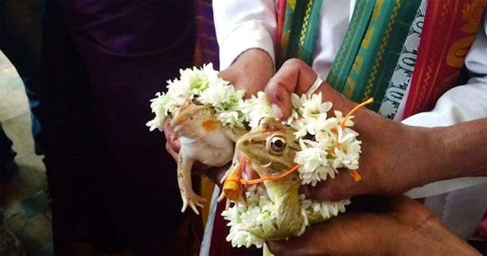 Ảnh: Deccan Herald