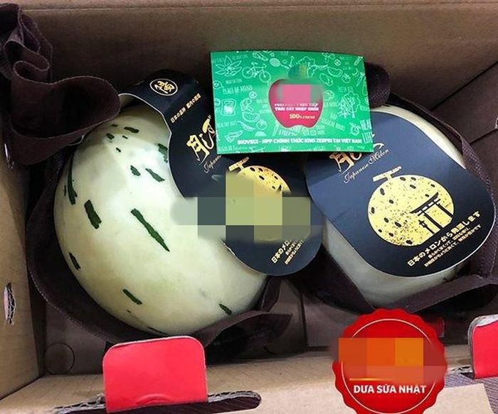  Dưa sữa Nhật Bản được rao bán với giá từ 160.000 - 300.000 đồng/kg. Ảnh: Biovegi.