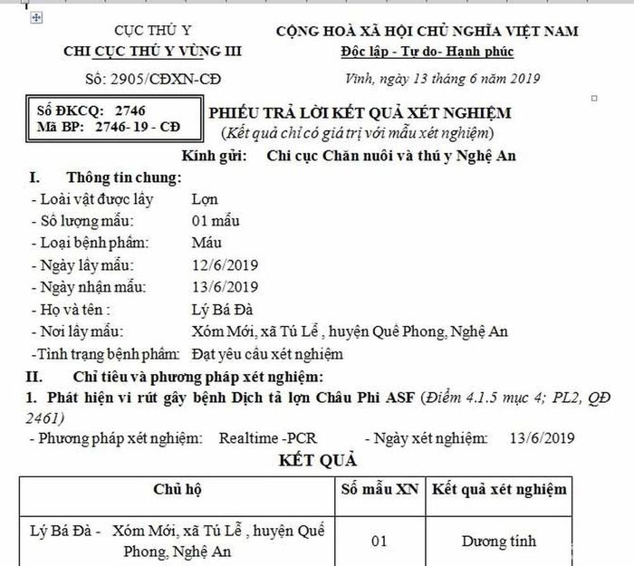 Mẫu xét nghiệm dương tính dịch tả lợn châu Phi tại xã Tri Lễ, huyện Quế Phong. Ảnh: Xuân Hoàng