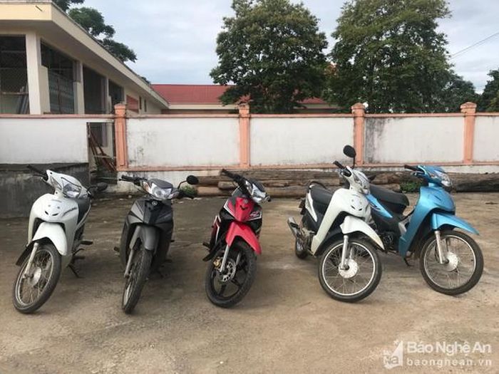 5 xe máy thu giữ được tại chuyên án.