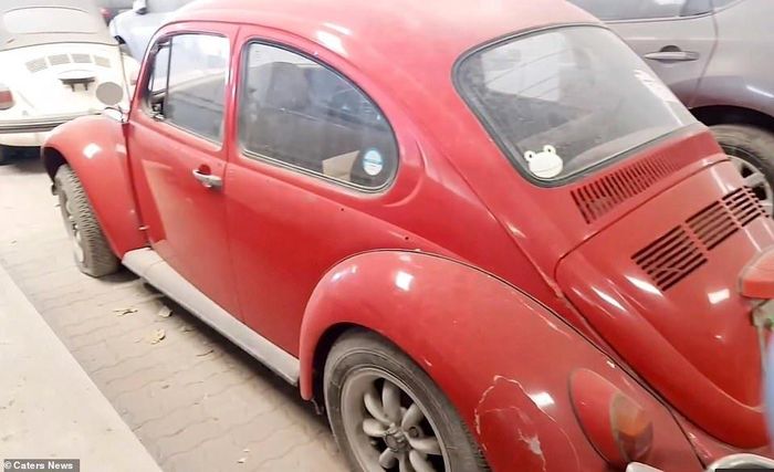Anh chàng Mohsin không biết rõ tuổi của những chiếc xe này nhưng một trong số đó là siêu xe đắt bậc nhất thế giới. Ảnh: Caters News. 