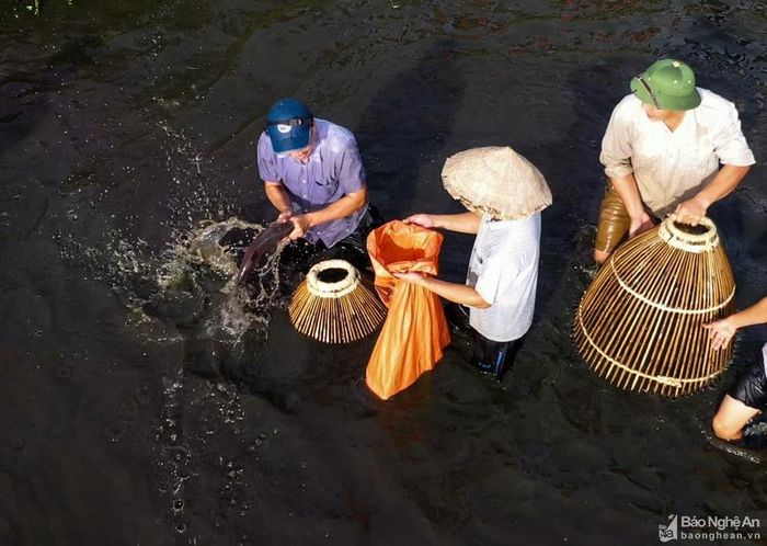 Không lâu sau giờ khai hội, rất nhiều "nơm thủ" đã bội thu. Nhiều "nơm thủ" còn mang theo người nhà để làm nhiệm vụ bảo quản cá bắt được. Ảnh: Sách Nguyễn