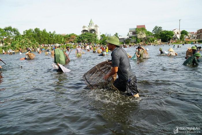 Đúng 7h30', sau hiệu lệnh của Ban tổ chức, Bàu Mực như vỡ òa bởi không khí sôi động khi hàng trăm "nơm thủ" ào ào lội xuống, trổ hết kỹ năng của mình. Ảnh: Hồ Đình Chiến
