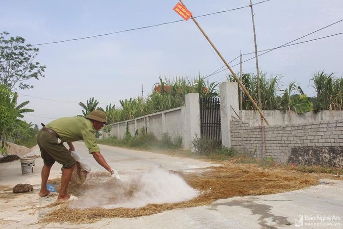 Xã Quỳnh Mỹ tái dịch tả lợn châu Phi vào ngày 15/6. Ảnh: Việt Hùng