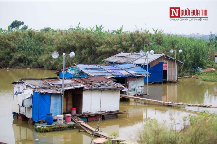 Đa phần họ là những người có hoàn cảnh đặc biệt, lang thang, cơ nhỡ, không nhà cửa. Còn với một số người sau nhiều năm lang bạt kiếm sống, ở địa phương cũ đã cắt khẩu, không còn giấy tờ tùy thân chẳng biết đi đâu về đâu nên đành phải nương náu ở nơi xóm nổi này để sống qua ngày.