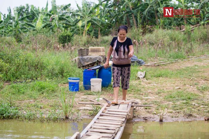 28 hộ dân sinh sống ở đây là người từ nhiều nơi phiêu bạt đến đây. Cùng là những người cơ nhỡ, khó khăn nhưng họ luôn cố gắng vươn lên trong cuộc sống.
