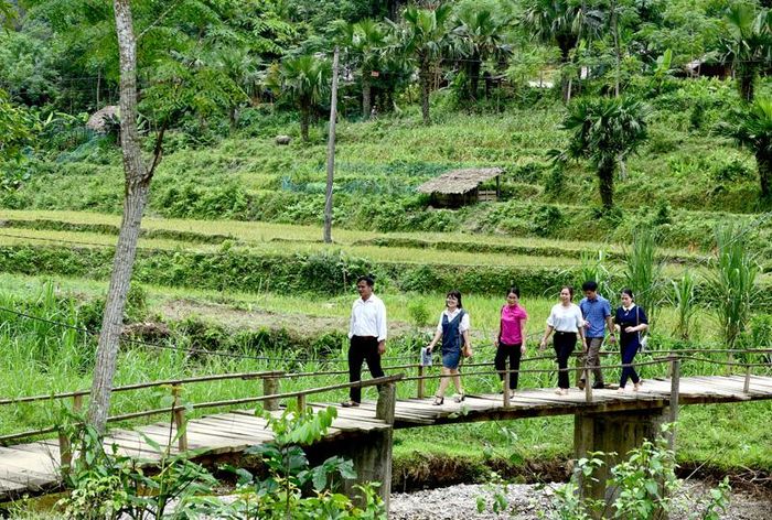 Vào thôn Bản Bon có cây cầu gỗ do nhân dân làm thuận tiện cho việc đi lại. 