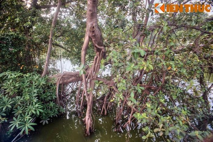 Một số hình ảnh khác.