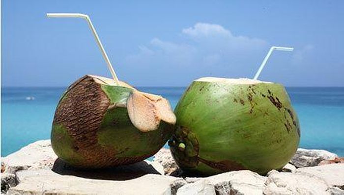 Nếu muốn giải khát bằng nước dừa, cần phải tuân thủ một nguyên tắc là ngồi nghỉ cho cơ thể hồi phục năng lượng, uống nước dừa từng chút một và không uống quá nhiều. Ảnh minh họa: Internet