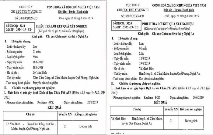 Kết quả xét nghiệm bệnh dịch tả lợn châu Phi tại xã Cắm Muộn. Ảnh: Xuân Hoàng