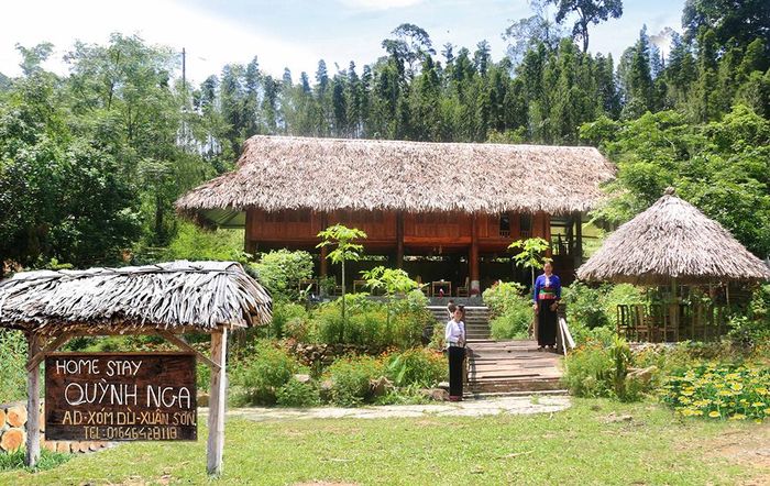 Các homestay trong Vườn Quốc gia Xuân Sơn, huyện Tân Sơn đem đến cho du khách trong và ngoài nước những trải nghiệm chân thực nhất về đời sống thường ngày, cùng những phong tục, tập quán đặc trưng của người dân địa phương.