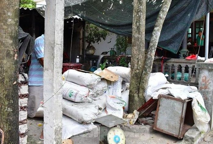 Gần 4 tấm mỡ lợn đều đã bốc mùi được chế biến để đưa đi tiêu thụ - Ảnh: Hoàng Long