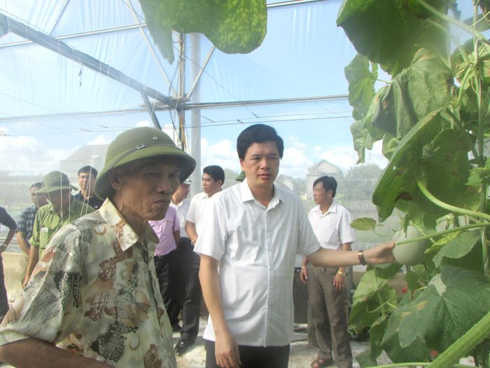 Nhiều người đến tham quan mô hình trồng dưa ở huyện Con Cuông. Ảnh: Diệp Anh