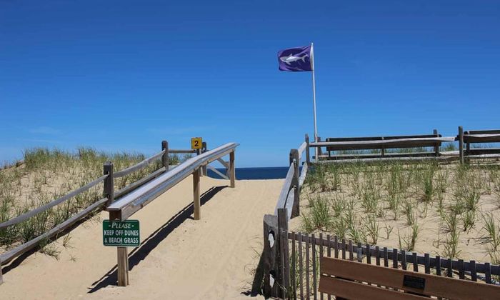 Cờ cảnh báo cá mập trên bãi biển Nauset ở Orleans, Massachusett. Ảnh: Guardian.