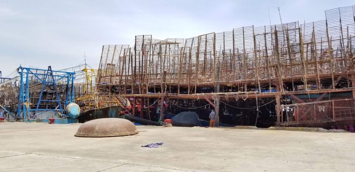 Huyện Núi Thành có 61 chiếc tàu khai thác mực xà với gần 2.000 lao động