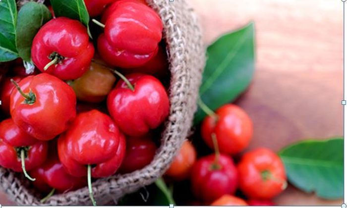 Cherry được coi là loại quả chứa lượng vitamin C 'khủng'. Ảnh minh họa: Internet