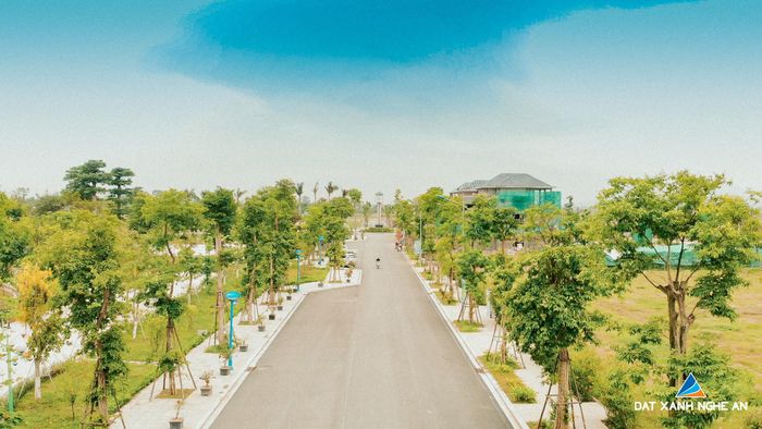 Chủ đầu tư chú trọng xây dựng cảnh quan khu đô thị với những loài cây quý hiếm. Ảnh tư liệu