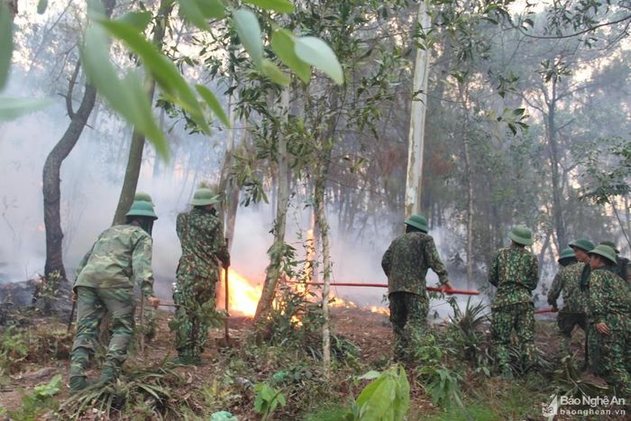 Huyện Nam Đàn huy động lực lượng bộ đội Lữ đoàn 141, Tiểu đoàn 13 Lữ đoàn 2, Tiểu đoàn 12,38, Trung đoàn 764, Công an tỉnh, Công an phòng cháy chữa cháy tỉnh. Tổng số huy động gần 700 chiến sỹ cùng với hàng trăm người dân xã Khánh Sơn để dập lửa rừng chiều nay (27/6) ở xã Khánh Sơn, Nam Đàn. Ảnh: Văn Trường