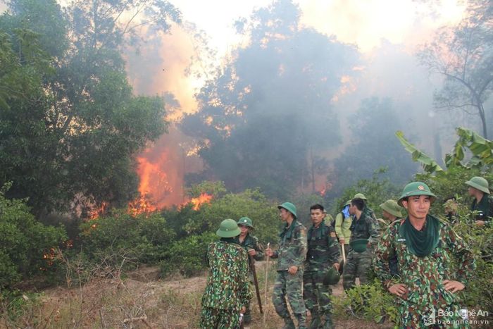 Có những thời điểm gió mạnh, lửa bốc cao 4-5 mét, lực lượng chữa cháy phải bất lực không thể dập nổi. Chiều 27/6, Chi cục Kiểm lâm đã huy động thêm lực lượng của Hạt Kiểm lâm Hưng Nguyên, Hạt Kiểm lâm Thanh Chương cùng lên ứng cứu. Ảnh: Văn Trường