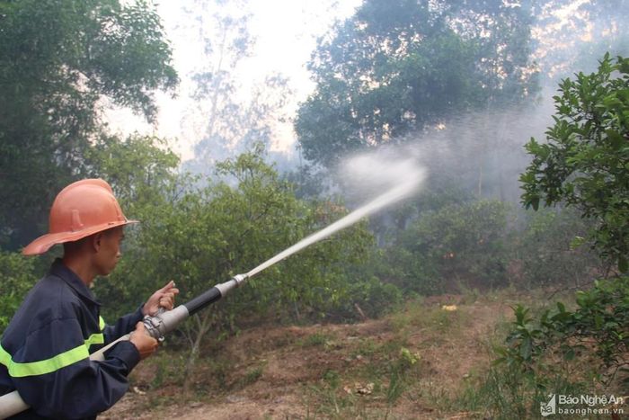 Lửa còn cháy lan xuống vườn cây nhà dân. Ảnh: Lực lượng chữa cháy dùng vòi rồng dập lửa cứu vườn chanh hộ gia đình ông Nguyễn Viết Nhung ở xóm 1 xã Khánh Sơn. Ảnh: Văn Trường