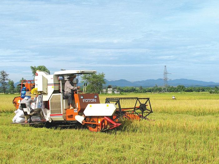 Mùa gặt