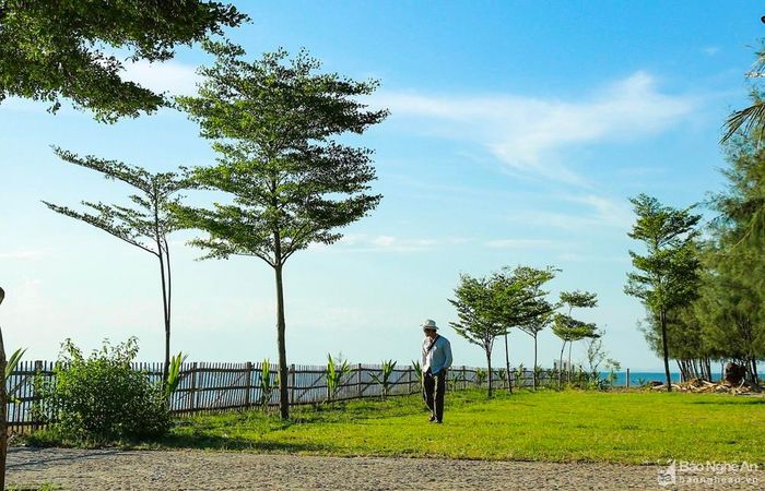 Bao quanh Cửa Hiền là bãi cát phẳng, bờ kè phủ cỏ xanh mướt và con đường phi lao rất nên thơ, ăn ảnh. Ảnh: Hải Vương