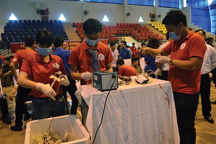 Các tình nguyện viên bảo quản túi máu trước khi đưa về Bệnh viện Đa khoa Tuyên Quang tại Ngày hội hiến máu tình nguyện 7- 4.