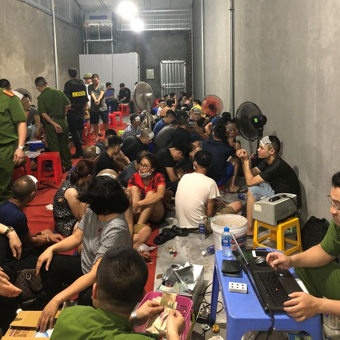 Các đối tượng liên quan được phân loại, làm rõ