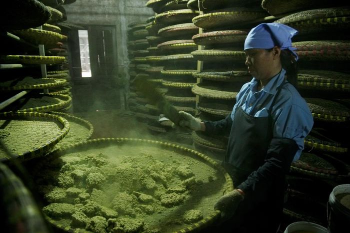 Quá trình lên mốc rất quan trọng trong sản xuất tương.