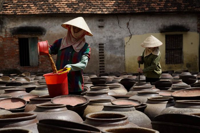 Rót tương vào chum ủ.
