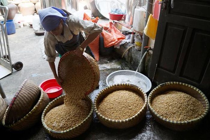Đỗ làm tương phải chọn loại hạt to, đều, da sáng và bóng.