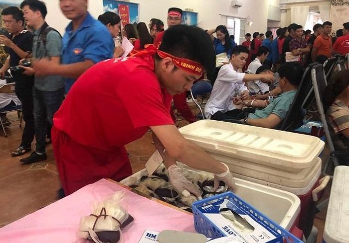 Những giọt máu hồng được lưu trữ đưa về Viện Huyết học - Truyền máu Trung ương.