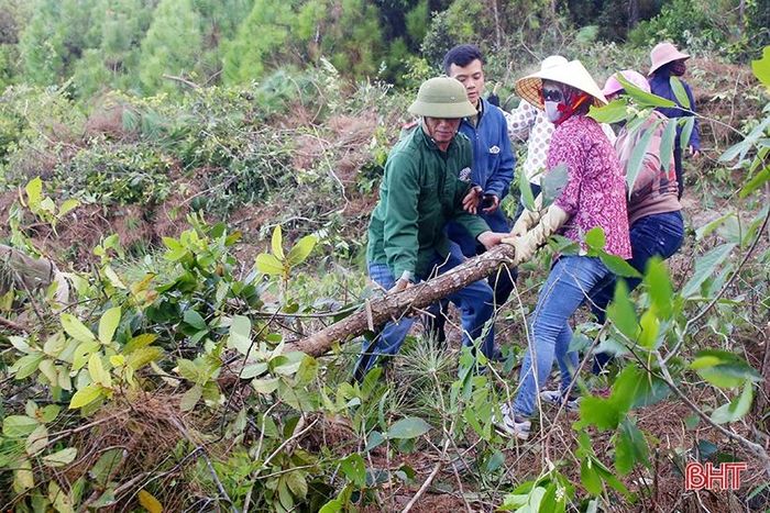 ...khẩn trương xây dựng đường băng cản lửa...