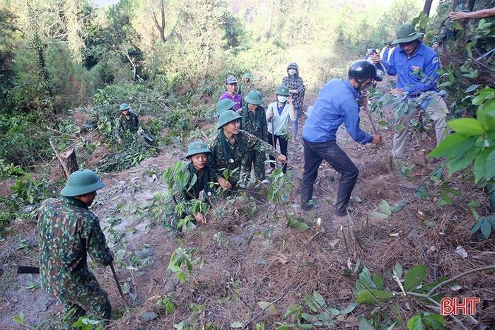 ... thu dọn thực bì