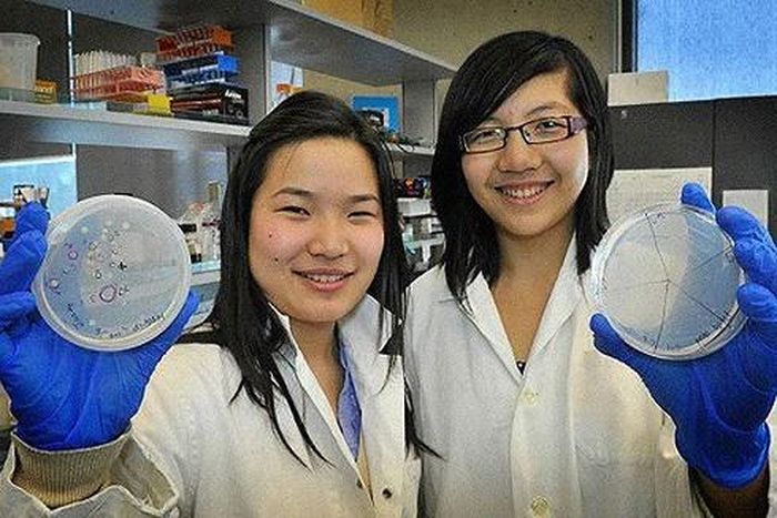 Các nhà khoa học tin rằng nghiên cứu của Jeanny Yao và Miranda Wang nếu thí điểm thành công sẽ có khả năng biến cuộc khủng hoảng nhựa toàn cầu thành một “cơ hội lớn hơn”
