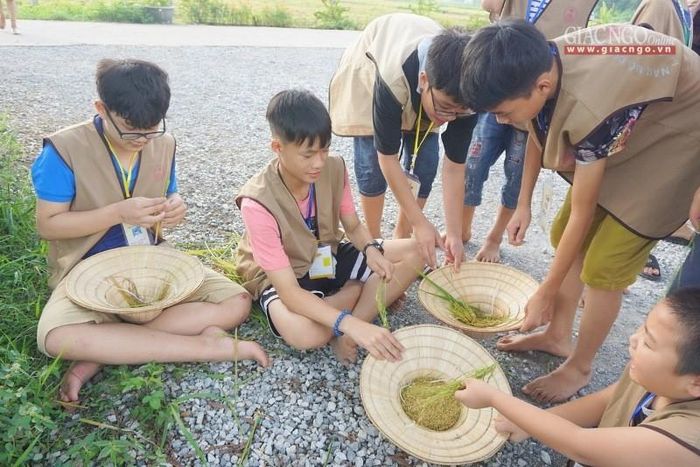 Tách vỏ trấu sau khi mót lúa tại khóa tu "Trúc hạ vươn mình" 2019 - Ảnh: Đ.Khoa