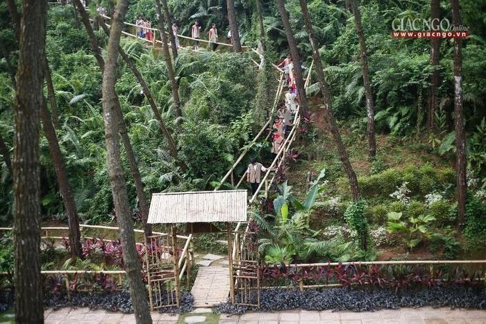 Thiền hành buổi sáng sớm tại khóa tu "Trúc hạ vươn mình" - Ảnh: Đức Vinh.