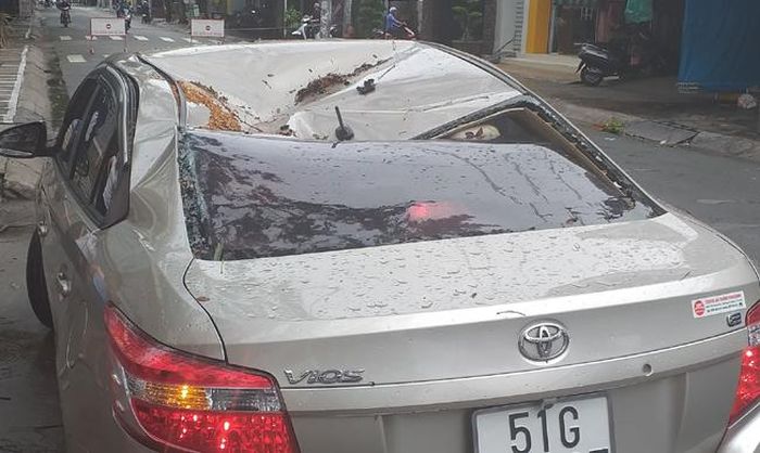 Ô tô bị cây xanh đè bẹp, hư hỏng nặng. Ảnh: CTV
