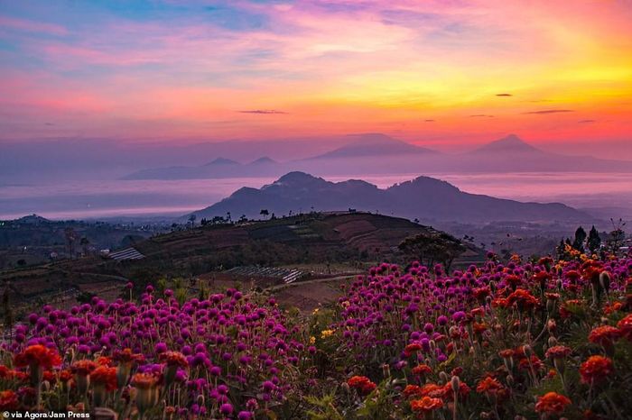 Khung cảnh thiên nhiên tuyệt đẹp ở Indonesia. Đây là tác phẩm dự thi của nhiếp ảnh gia tài năng Micky Demsy.